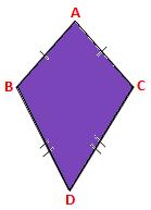 Kite Diagram