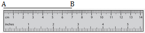 Measure a Line Segment