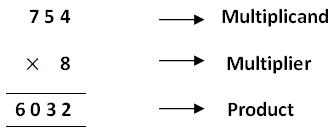 Multiplication of Whole Numbers