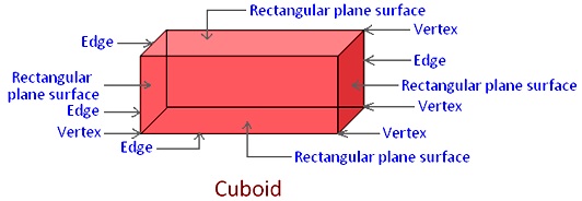 Cuboid