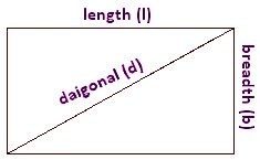 Perimeter and Area of Rectangle