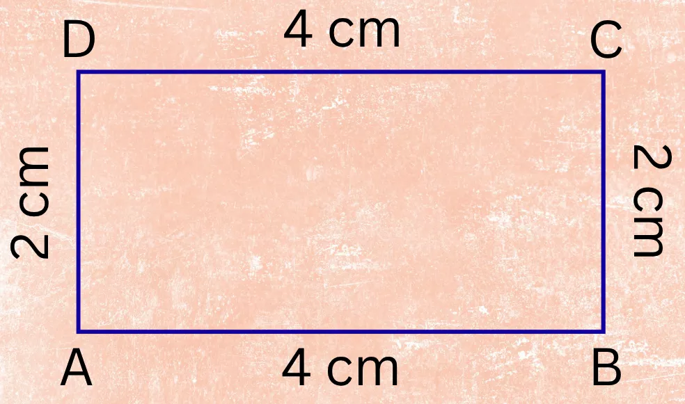 Perimeter of the given Rectangle