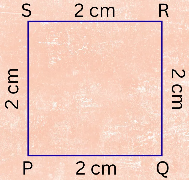 Perimeter of the given Square