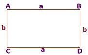 Perimeter of Rectangle