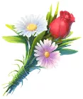 Pictograph Symbol on Bouquets