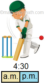 Playing Cricket