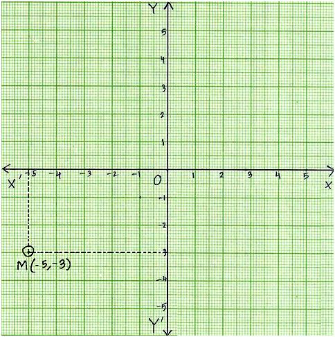 Plot Point on the Graph