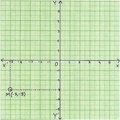 Plot Point on the Graph