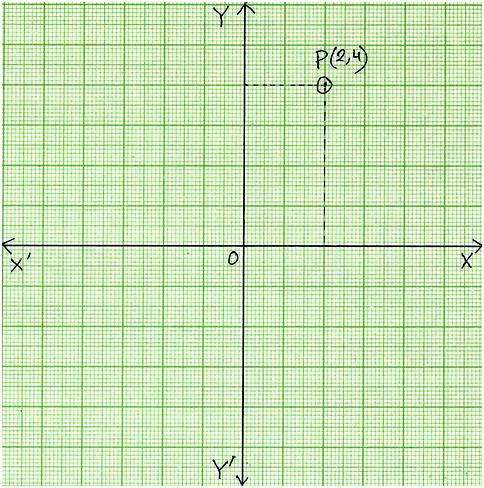 Plot Points on Coordinate Graph