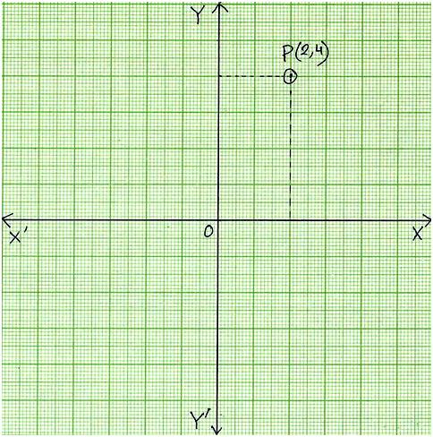 Plot Points on Coordinate Graph