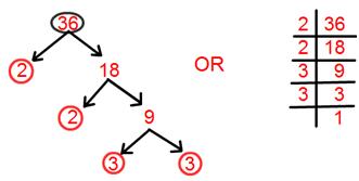 Prime Factorisation