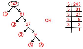 Tree Factorisation Method