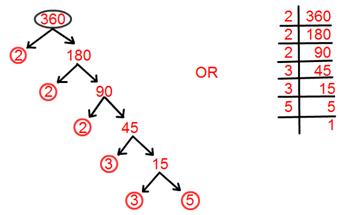 Tree Factorisation Method
