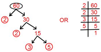 Tree Factorisation Method