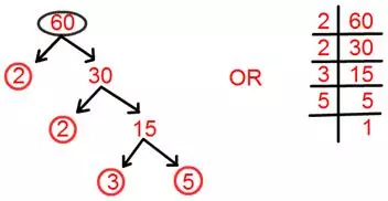 Tree Factorisation Method