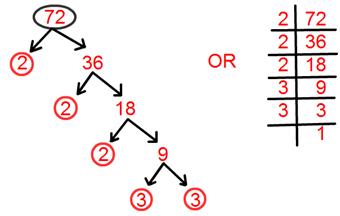 Tree Factorisation Method