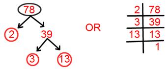 Tree Factorisation Method