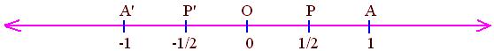 Represent 1/2 and -1/2 on the number line