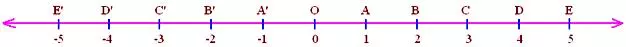Representation of Rational Numbers on the Number Line