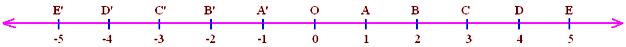 Representation of Rational Numbers on the Number Line