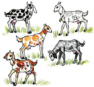 Counting Numbers Practice Test