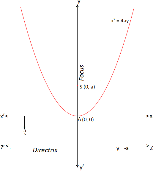 Standard form of Parabola x^2 = 4ay