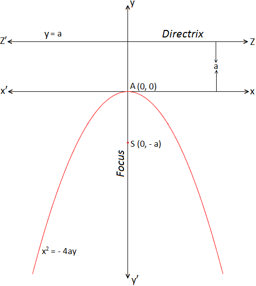 Standard form of Parabola x^2= -4ay