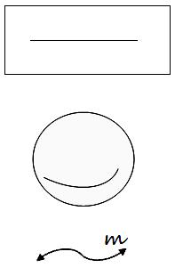 Straight Line Segment