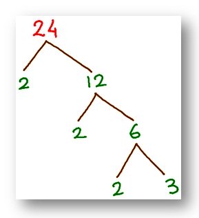 tree factor of 24
