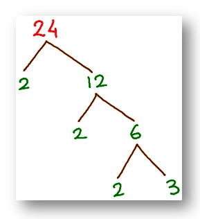 tree factor of 24
