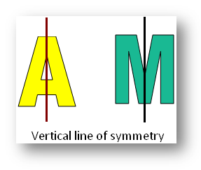 Vertical Line of Symmetry