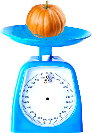 Weight of a Pumpkin