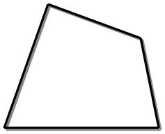 What is polygon?