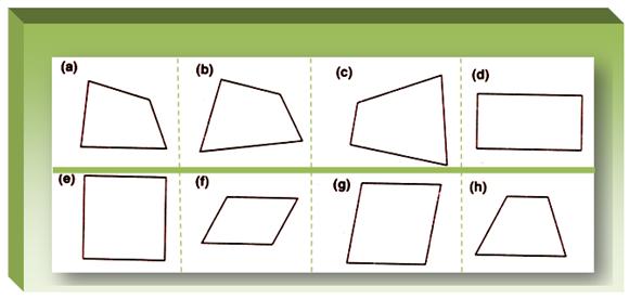 What is a Quadrilateral?
