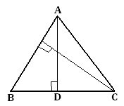 area of triangle worksheet,area worksheet