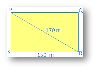 Word problem on Pythagorean Theorem