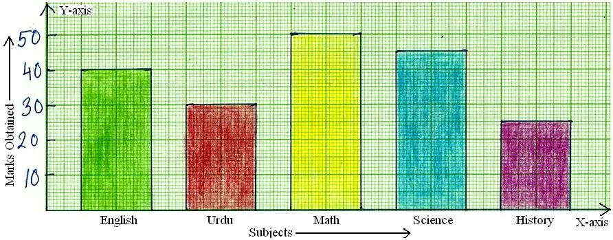 Bar Graph